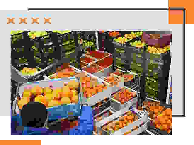 Перевозка скоропортящихся продуктов в Кирово-чепецке